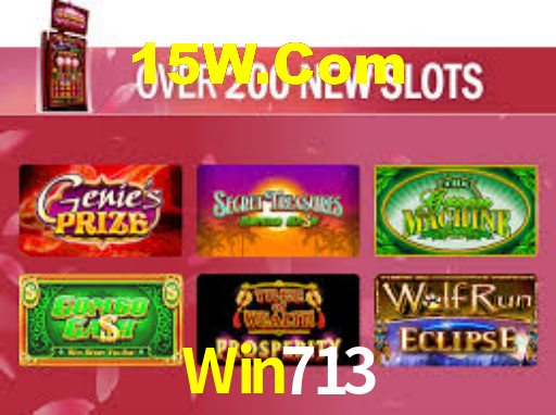 Win713