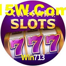 Win713