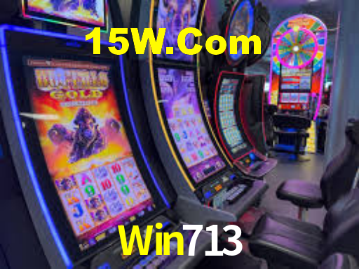 Win713