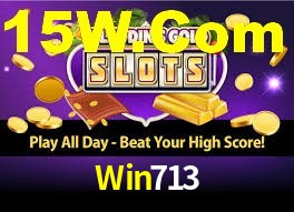 Win713